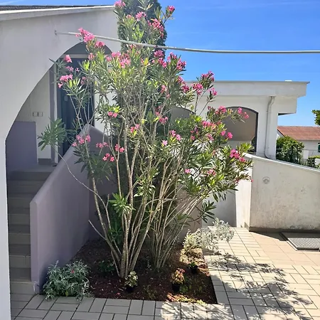 Stylish With Sea View アパート *